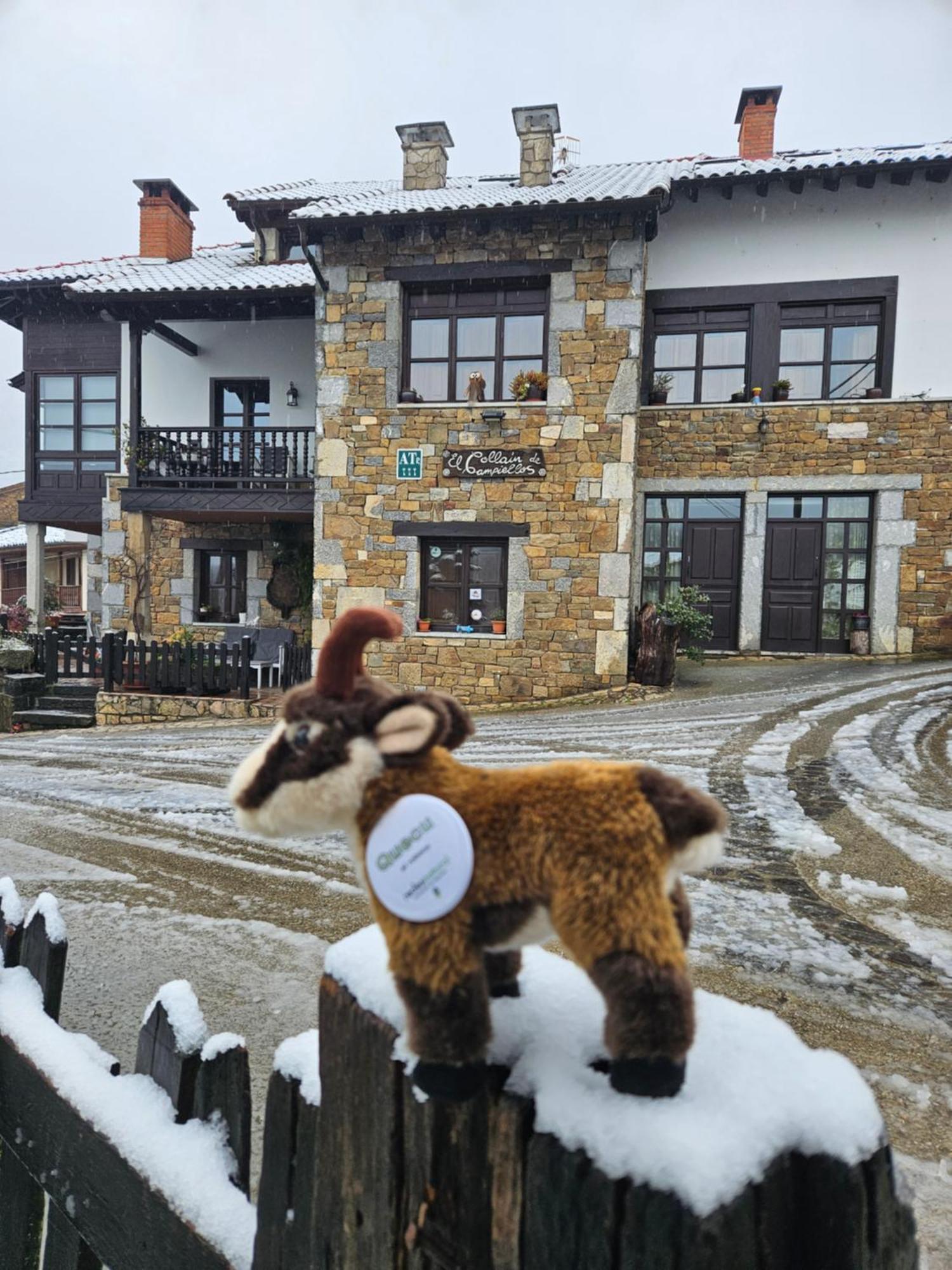 Apartamentos Rurales El Collain De Campiellos Luaran gambar